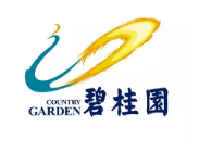 江干碧桂园地产